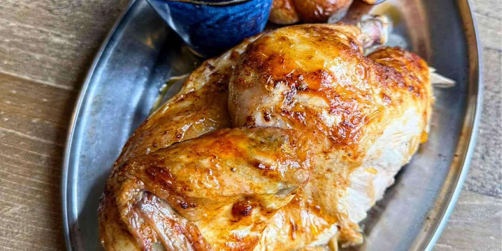 Saucy Bird