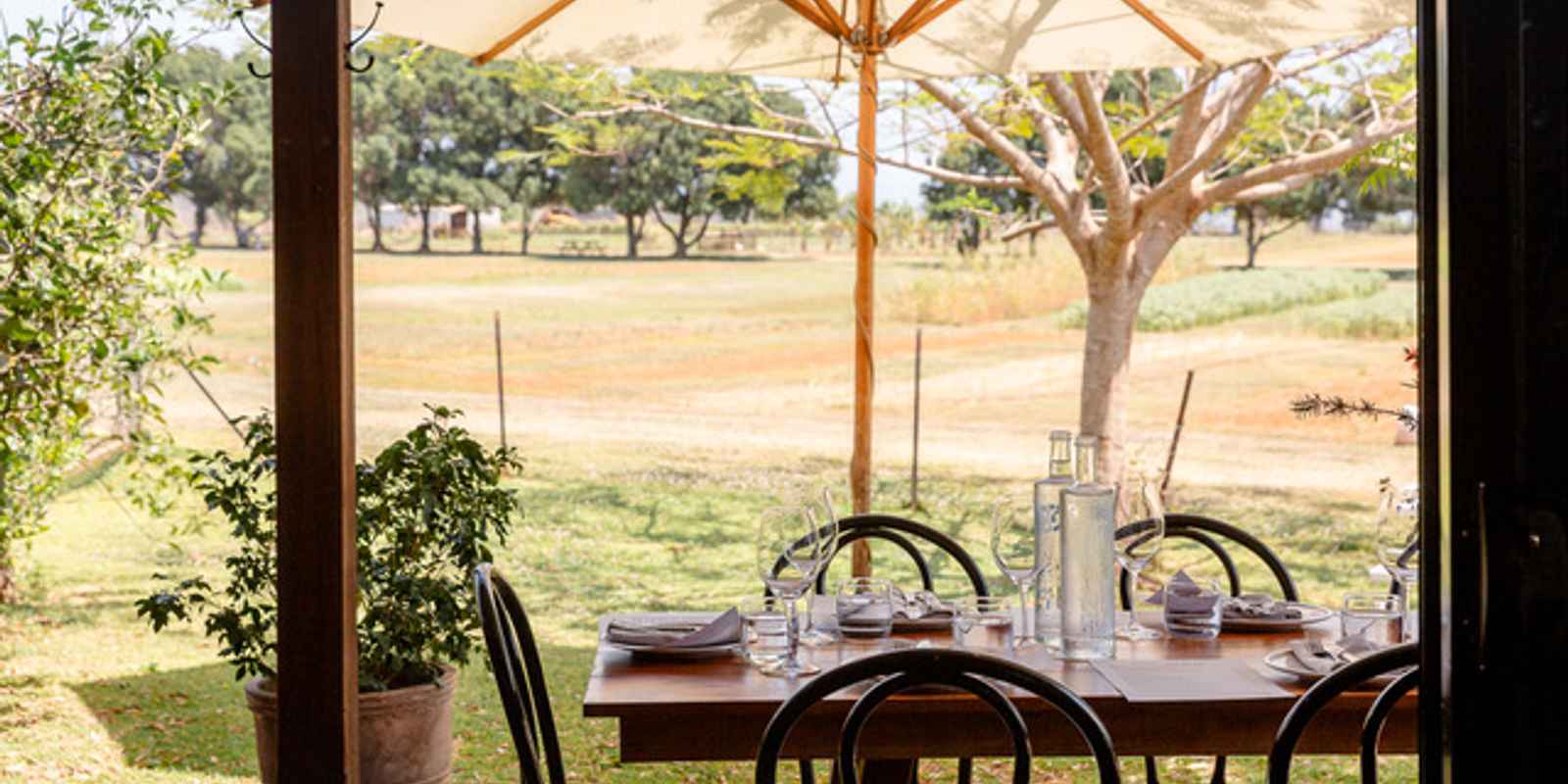 Farm & Co Restaurant