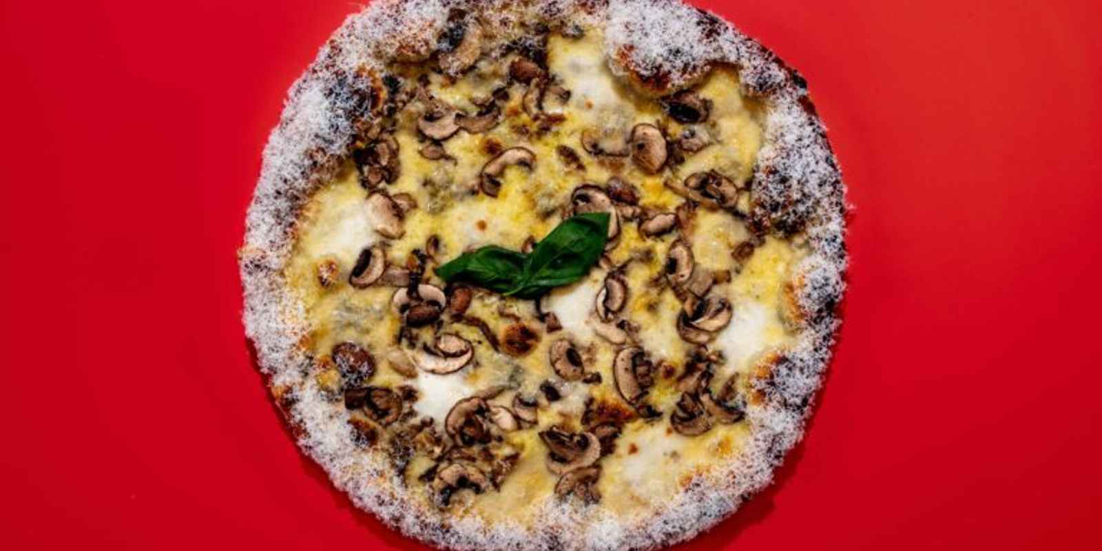 Civerinos - Forrest Road