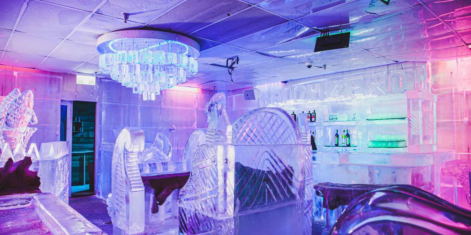 Below Zero Ice Bar - entry & cocktail