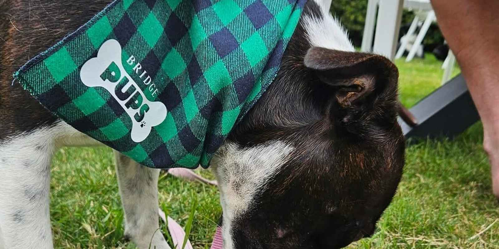 The Bridge Restaurant & Bar