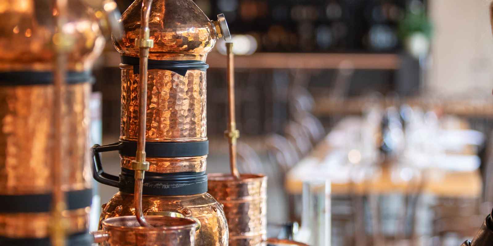 The Cargo Collective - Gin Workshop