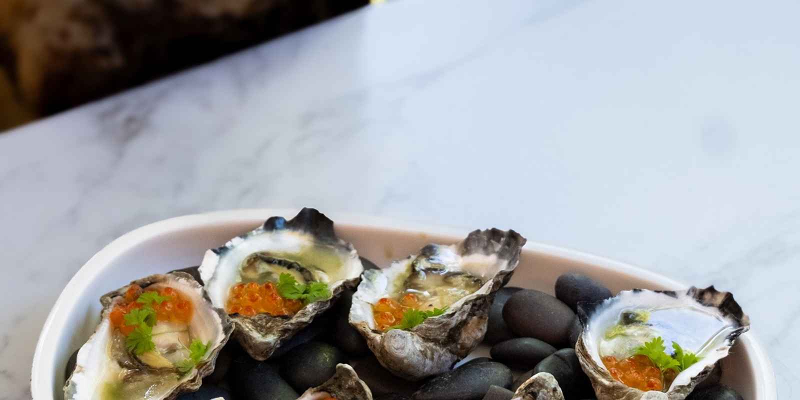 Garfish - Crows Nest