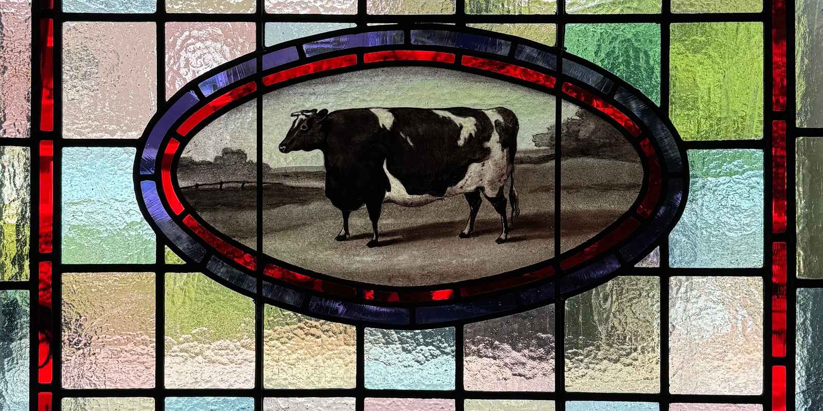 The Cow