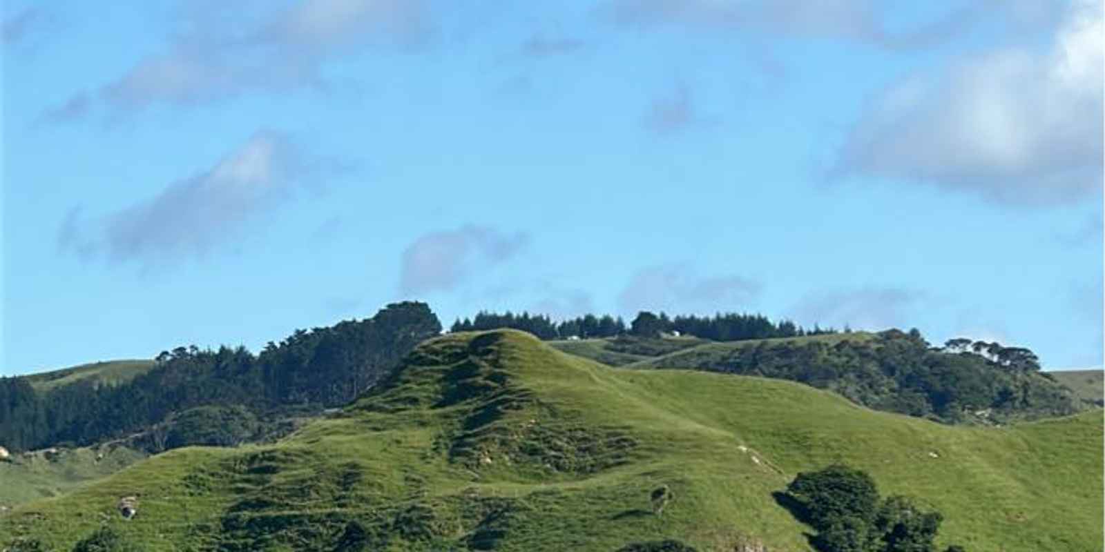 The Wharf Kitchen And Bar