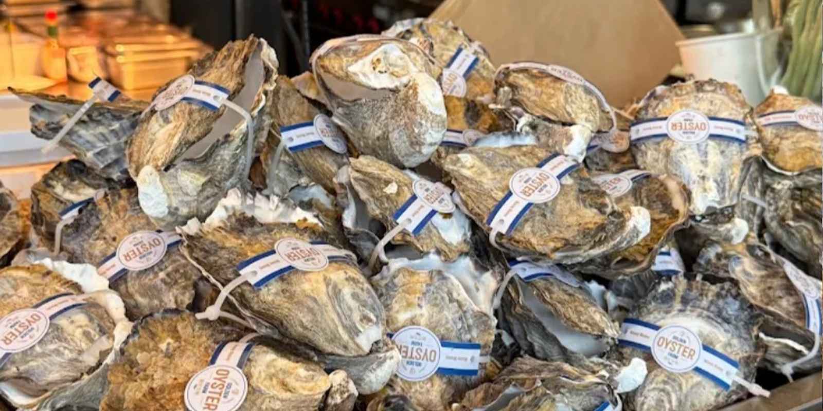 On Point Café & Seafood