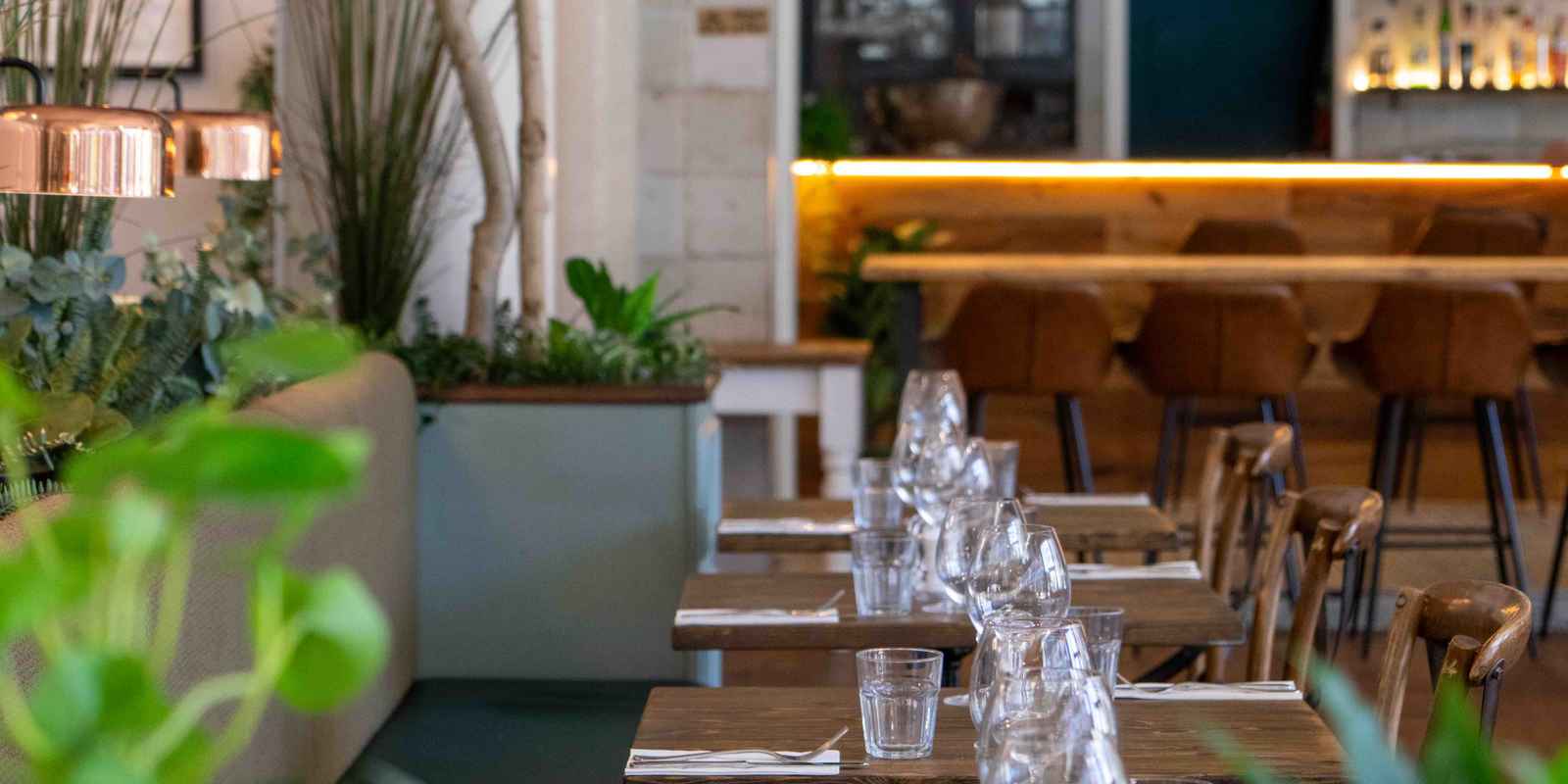 Bobo Social Ealing