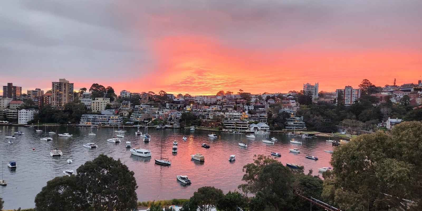 Viet Earth Restaurant