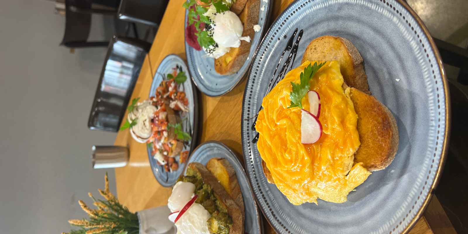 MoMa Social Cafe