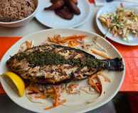 Turtle Bay Nottingham