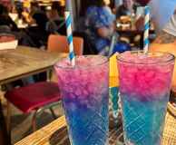 Turtle Bay Camden