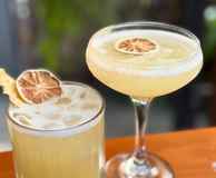 Grove Social
