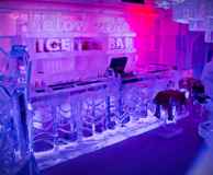 Below Zero Ice Bar - entry & cocktail