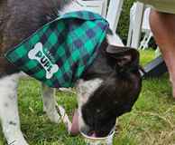 The Bridge Restaurant & Bar