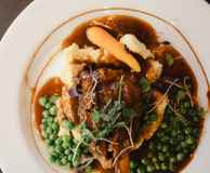 Java Jungle Cafe Bar & Eatery