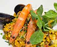 Lola Cocina Spanish Restaurant - Parramatta