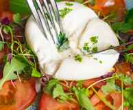 Vittoria on the Bridge