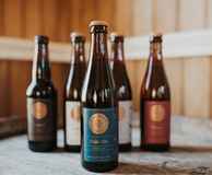 The Cargo Collective - Brewery Tour