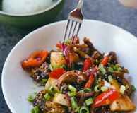 The Collective Palm Beach