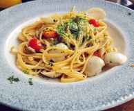 Cibo