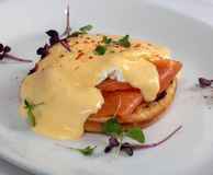 Sofra 12 South Molton