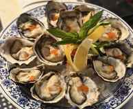 Little Alice Yum Cha