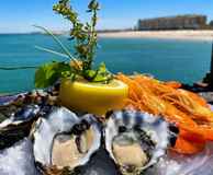 Glenelg Surf Club