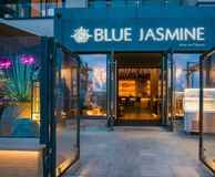 Blue Jasmine