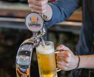 NOMIYA Japanese Tapas & Bar