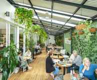 Method to the Madness