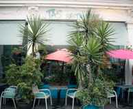 Tas Restaurants Bloomsbury