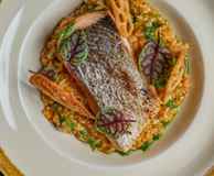 The Wet Fish Cafe Primrose Hill