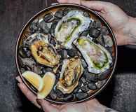 Lulu Bar & Restaurant