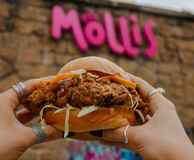 Mollis