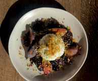 Alice House West Hampstead