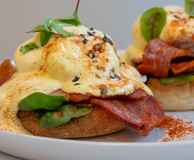 Freddie’s Newstead