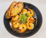 Pepperberry @ Hilton Darwin