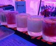 Below Zero Ice Bar - entry & cocktail