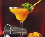 Rosa Mexicano Glenelg