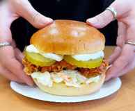 Pocha Chicken Mt Roskill