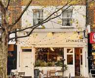 Spinach