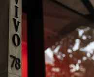Vivo 78