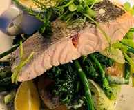 The Moldy Fig @ The Concorde