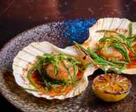 Chez Mal - Newcastle