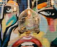 The Budgie Bar