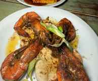 Turtle Bay Bristol
