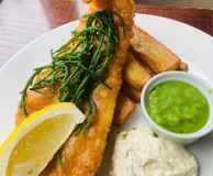 The Moldy Fig @ The Concorde