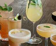 Mad Monkey Distillery