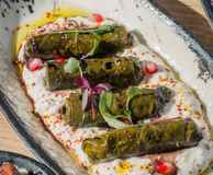Hazev Restaurant Bar Cafe