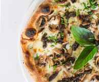 The Beach Shack Port Douglas